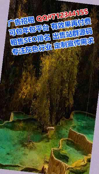 梅县助孕电子科技门市部